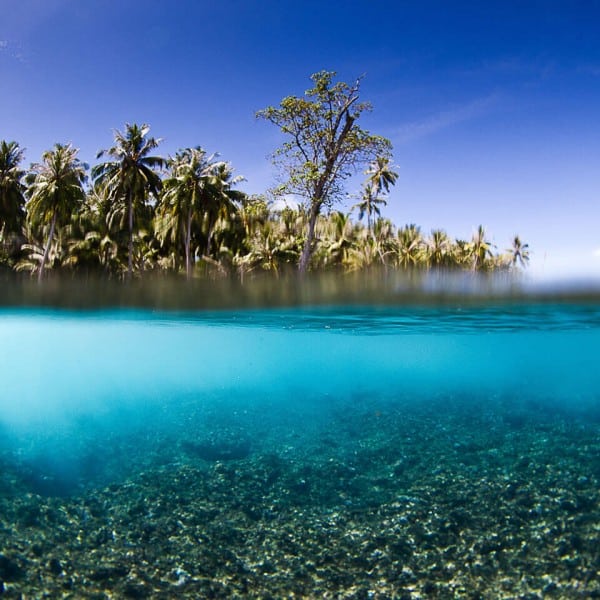 The Resort - Pitstop Hill Mentawai